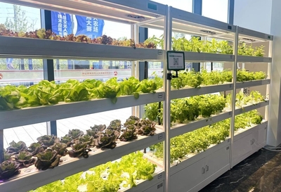 創新匯聚，未來啟航——2024雄安未來之城場景匯決賽圓滿舉行